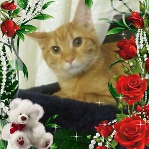 Meet your Posher, Barbara